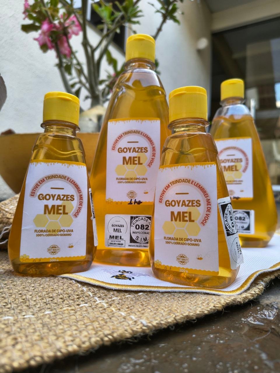 Mel Puro selo Goyazes - 500g - Imagem 2