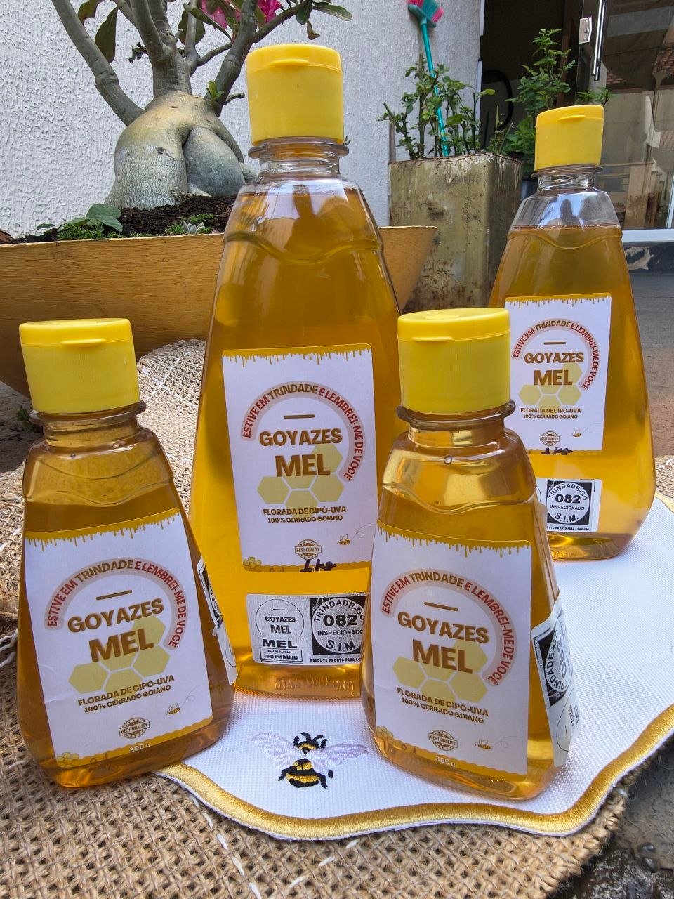 Mel Puro selo Goyazes - 500g - Imagem 3