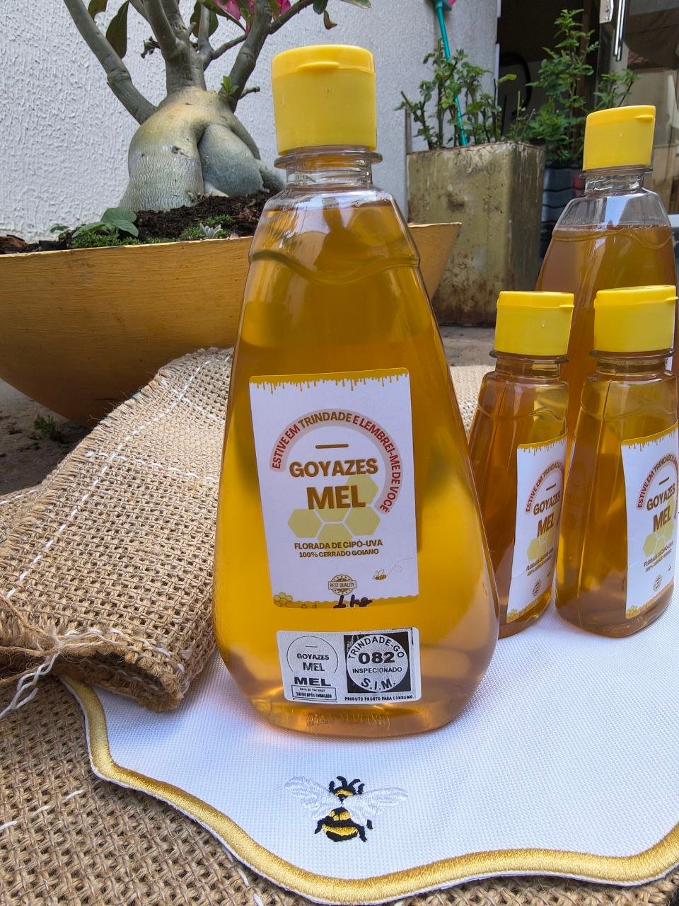 Mel Puro selo Goyazes - 500g - Imagem 14