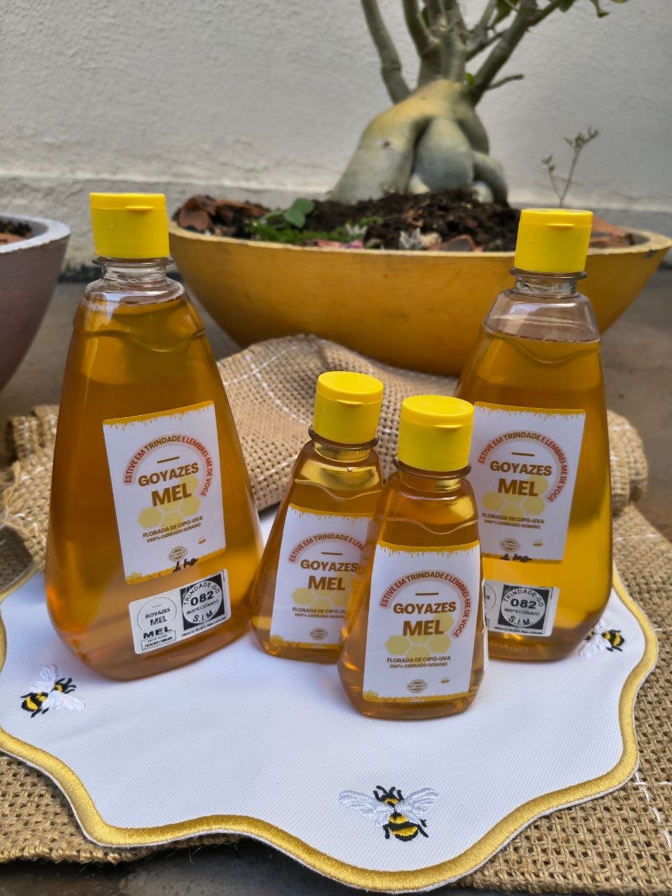 Mel Puro selo Goyazes - 500g - Imagem 17