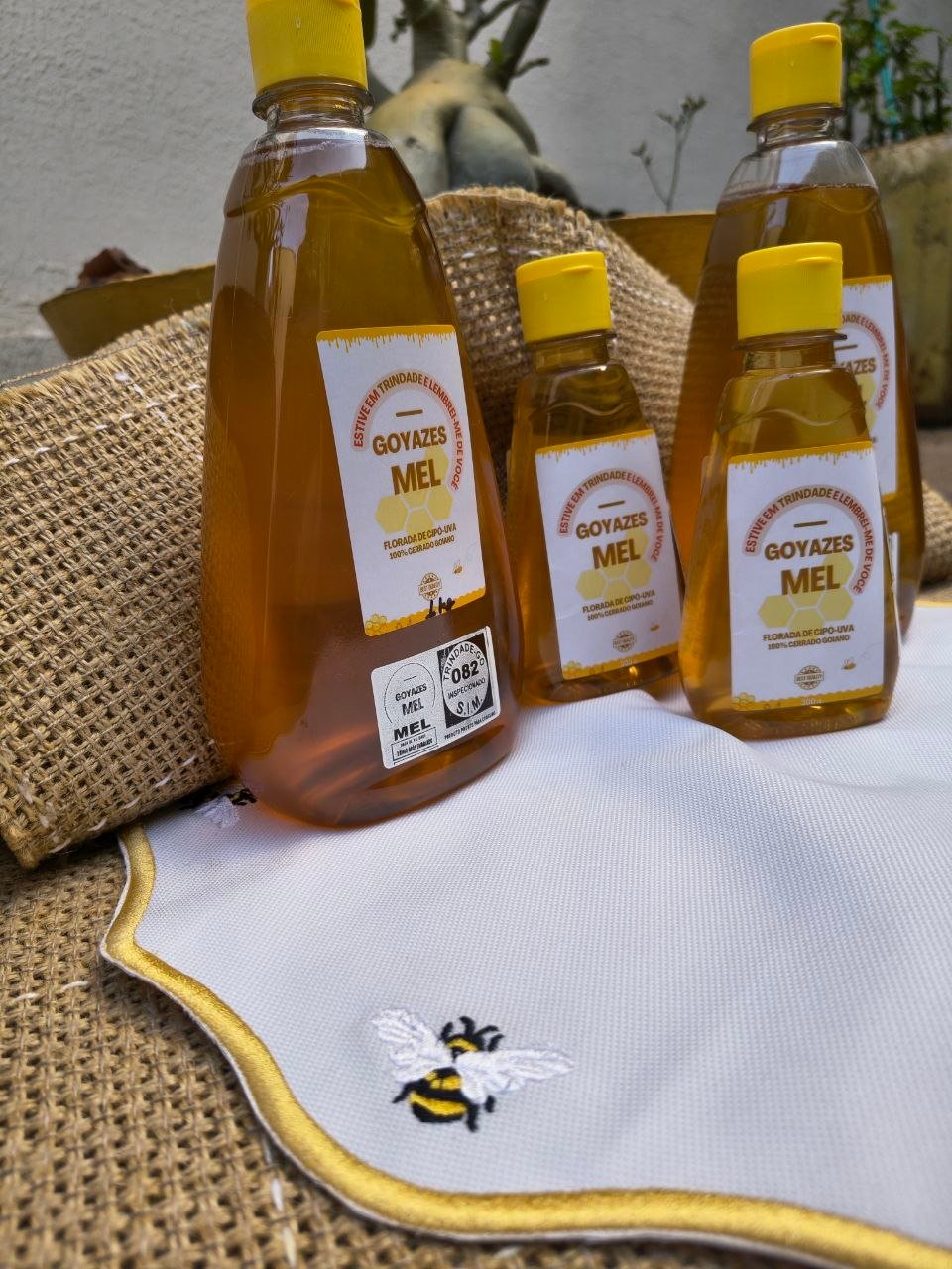 Mel Puro selo Goyazes - 500g - Imagem 20
