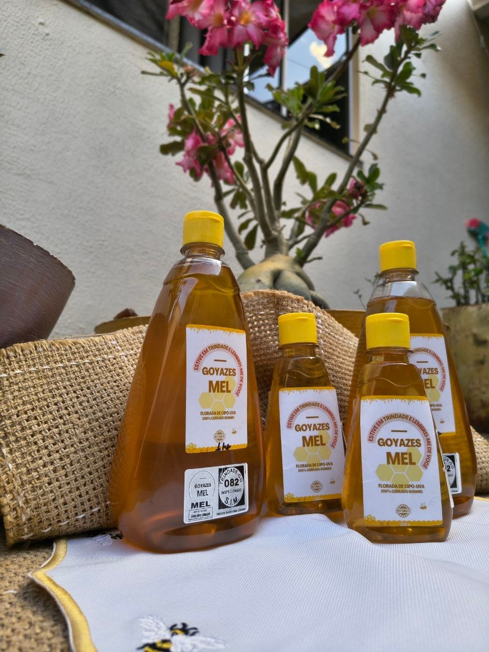 Mel Puro selo Goyazes - 500g - Imagem 22