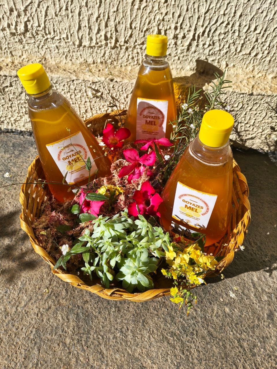 Mel Puro selo Goyazes - 500g - Imagem 8