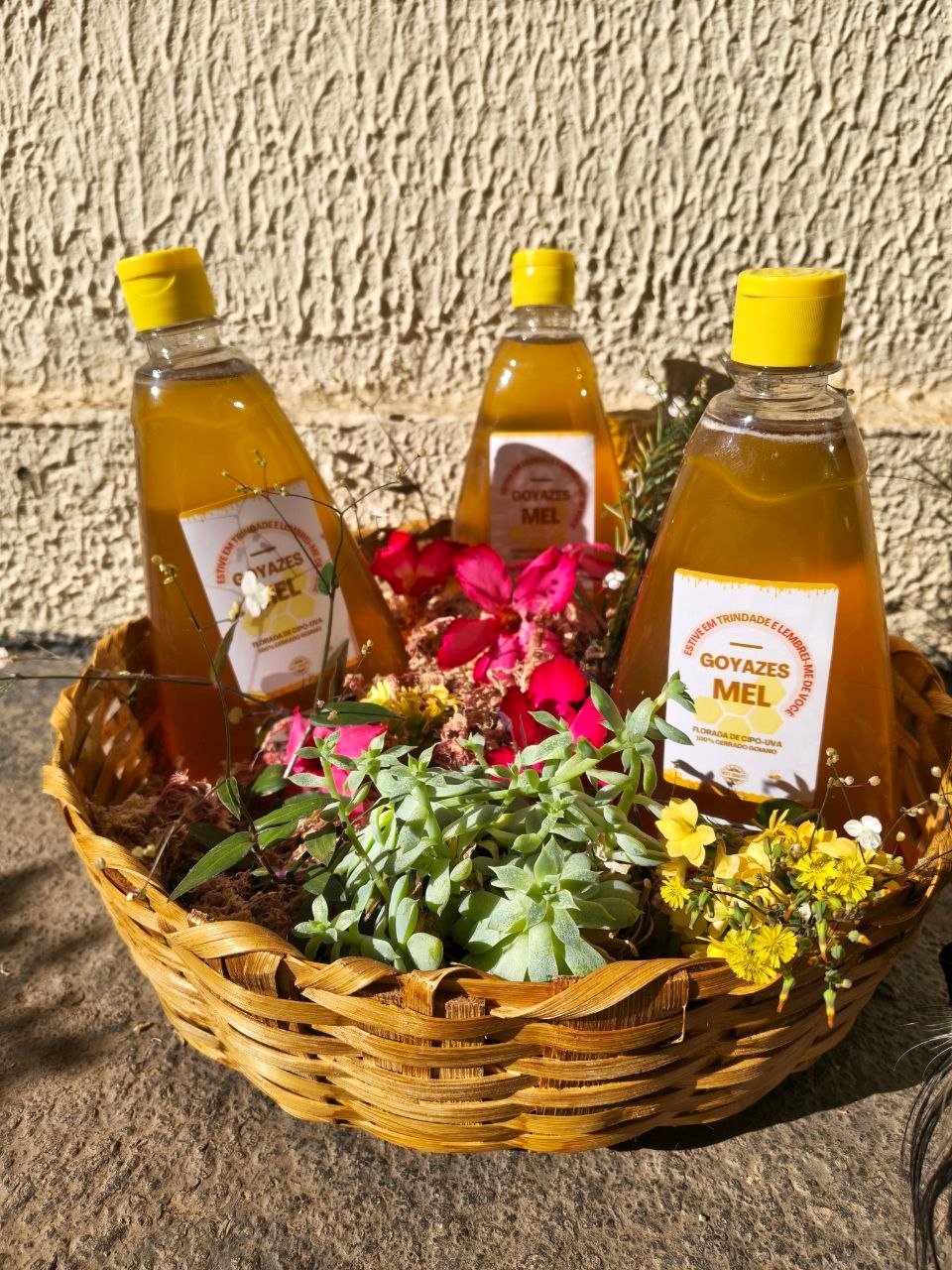 Mel Puro selo Goyazes - 500g - Imagem 11