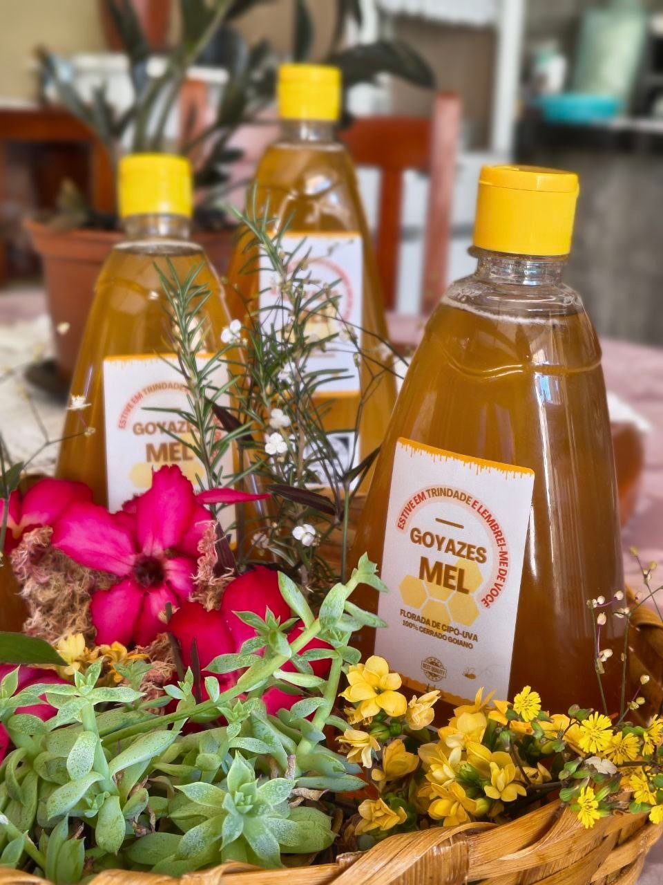 Mel Puro selo Goyazes - 500g - Imagem 12